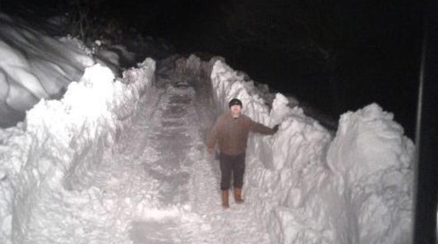 Mahsur Kalan Hayvanları Buski Kurtardı