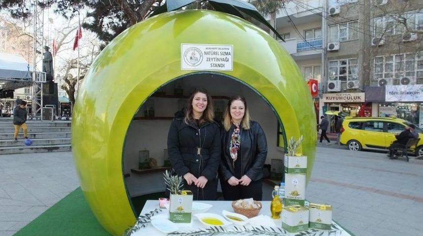 Tariş&rsquo;de Zeytin Alımı Rekoru Gene Burhaniye&rsquo;de