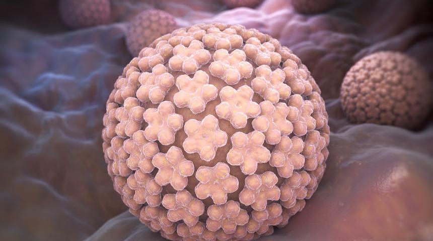 Cinsel yolla bulaşan HPV hakkında efsaneler ve gerçekler