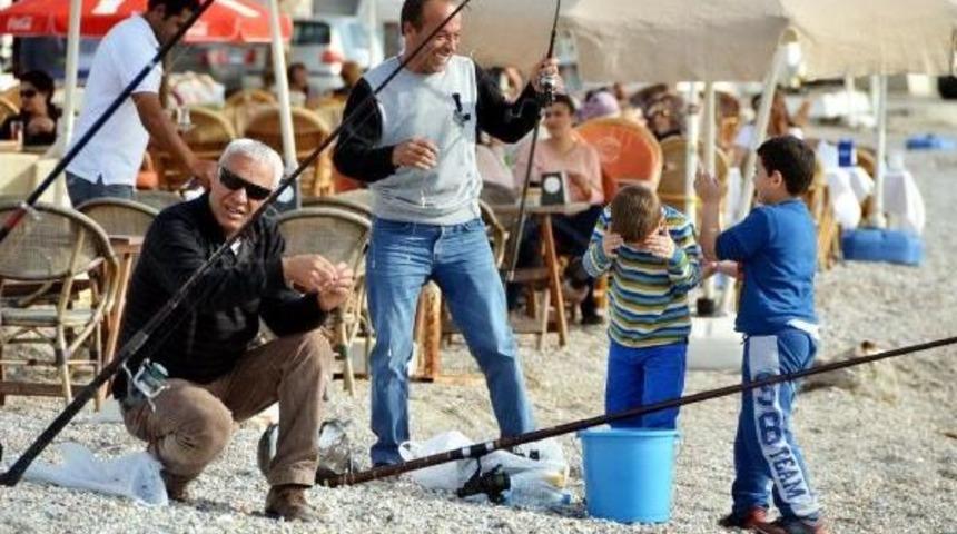 Bodrum'da g&uuml;neşi g&ouml;ren sahile koştu