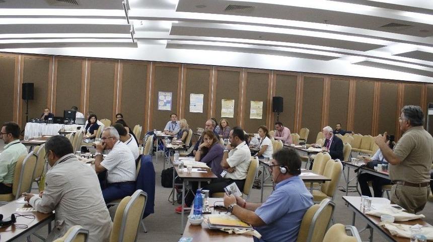 "d&uuml;nyada Ve T&uuml;rkiye&rsquo;de &Uuml;retilen Balın Y&uuml;zde 25-30&rsquo;u Sahte "