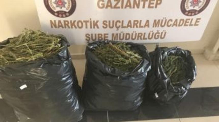Gaziantep&rsquo;te 20 Kilo Uyuşturucu Madde Ele Ge&ccedil;irildi