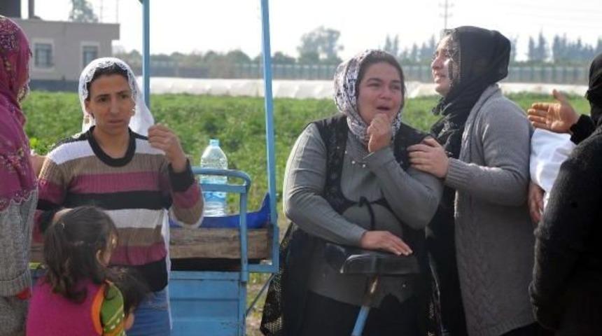 &Ccedil;iftlikte &Ccedil;ıkan Yangın Korkuttu