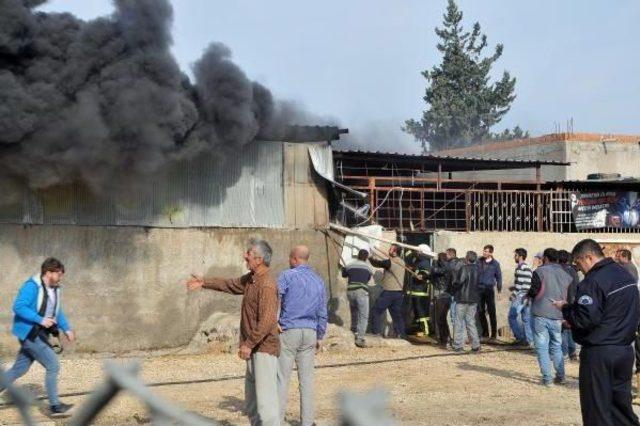 Çiftlikte Çıkan Yangın Korkuttu 1