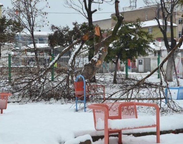 Yoğun Kar Yağışı Eşme nin Ulaşımını Fel&ccedil; Etti 3