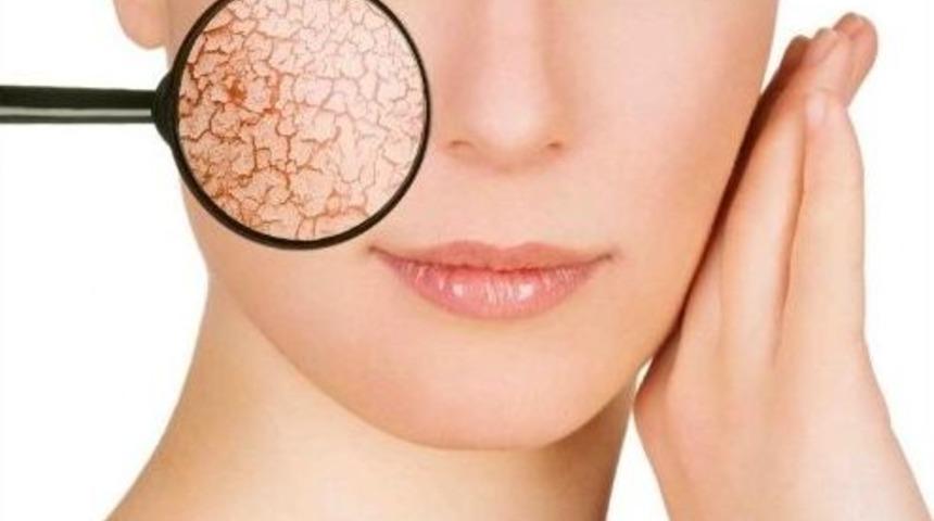 Somon Dna&rsquo;sı Cildi Gen&ccedil;leştiriyor