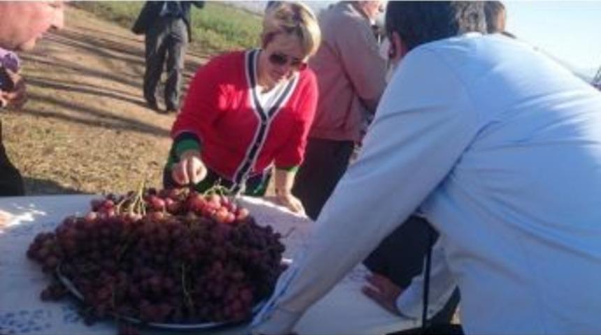 Ş&uuml;kriye Burak&rsquo;tan Altın Tavsiyeler