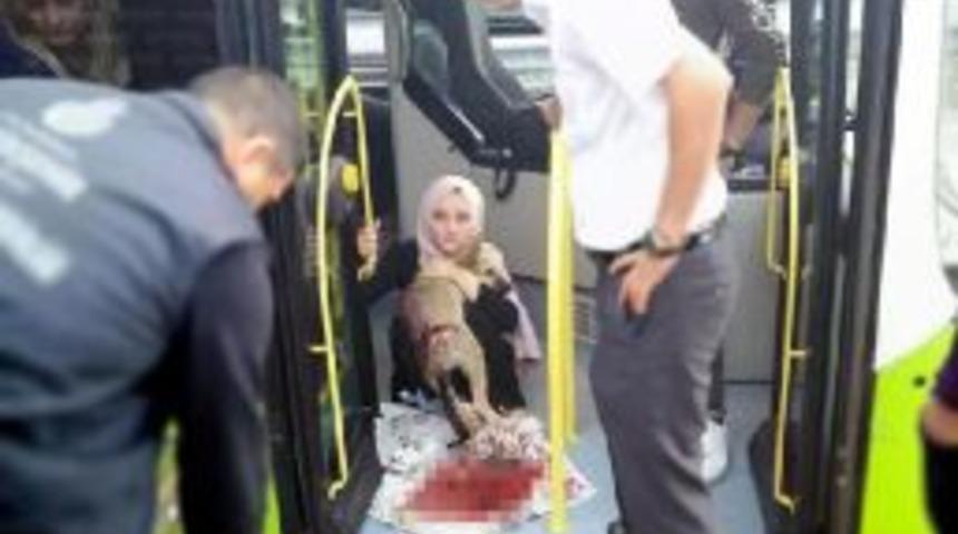 &Ccedil;arptığı K&ouml;peği Belediye Otob&uuml;s&uuml;ne Alıp, &Ccedil;ağırdığı G&ouml;revlilere Teslim Etti