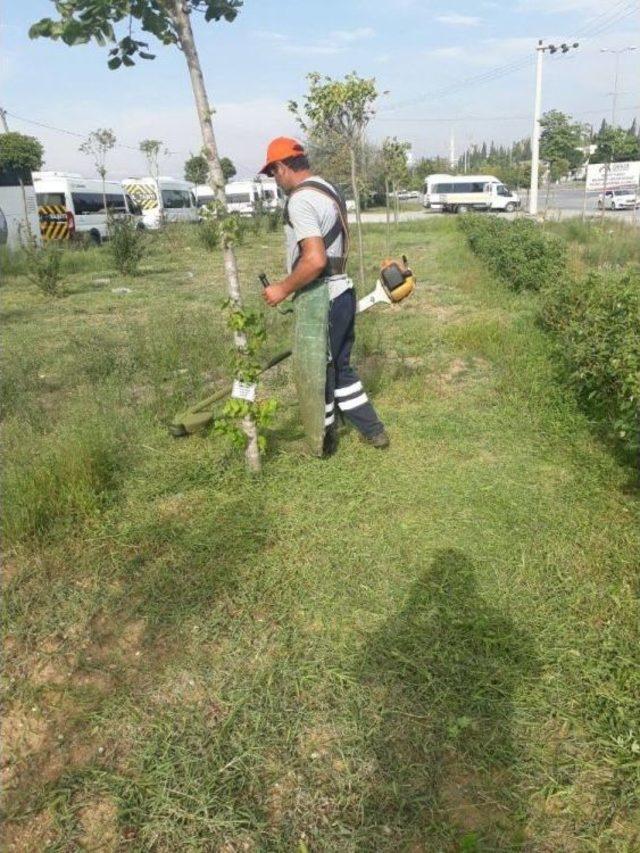 Gebze’de Parklar Daha Yeşil