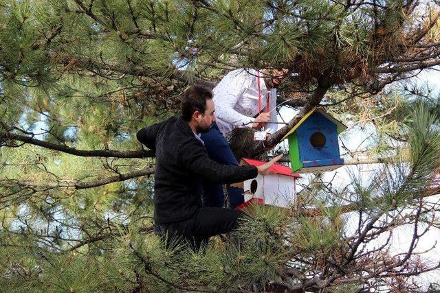 Öğrencilerden El Emeği Kuş Evleri