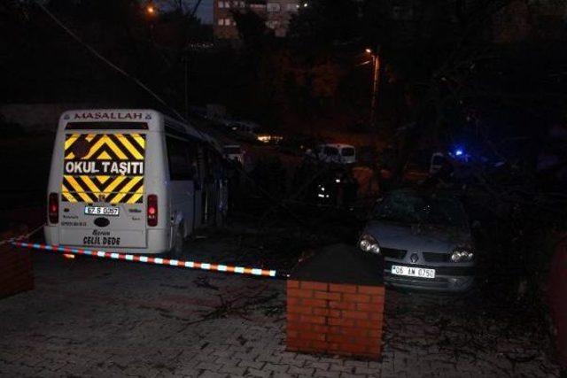 Devrilen Ağaç, Taksi Ile Otomobilin Üzerine Düştü