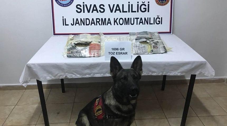 Yolcu Otob&uuml;s&uuml;nde V&uuml;cuduna Sardığı Esrarla Yakalandı