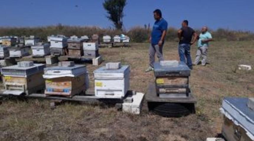 Kırklareli&rsquo;de Arılı Kovan Desteklemeleri