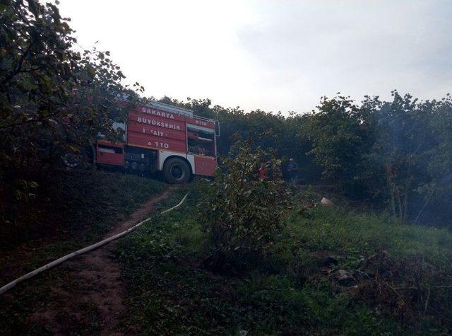 Fındık Bahçesinde Bulunan Baraka Yandı