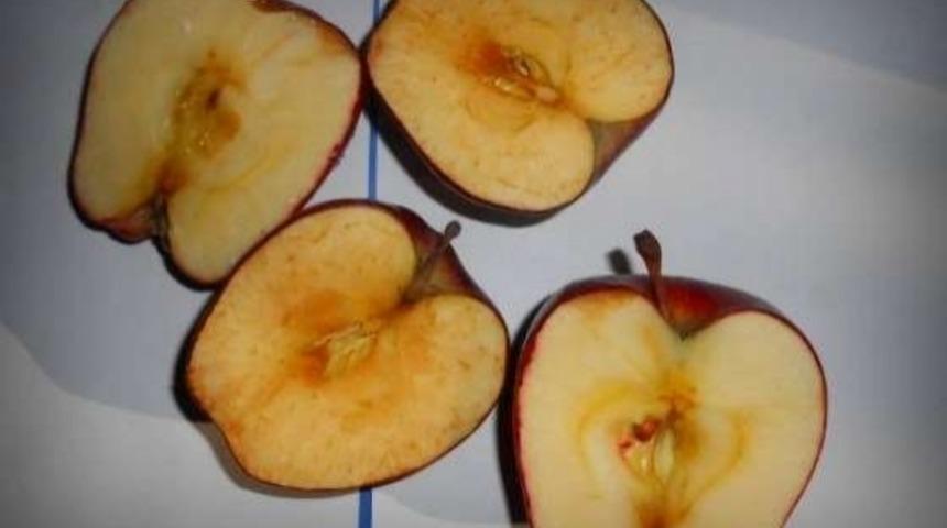 Kesildiğinde Kararmayan Elmalar Piyasaya S&uuml;r&uuml;lmek &Uuml;zere!