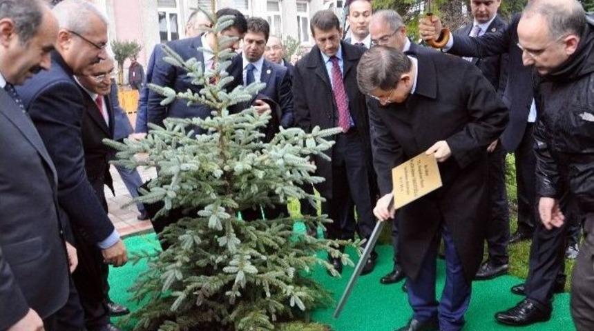 Başbakan Davutoğlu Balıkesir&rsquo;de Ağa&ccedil; Dikti