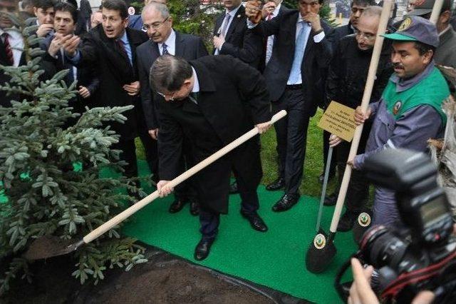 Başbakan Davutoğlu Balıkesir’de Ağaç Dikti