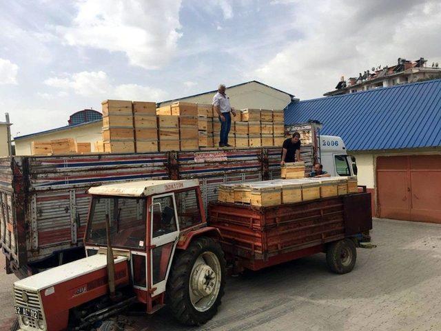 Tunceli’de 600 Organik Kovan Dağıtıldı