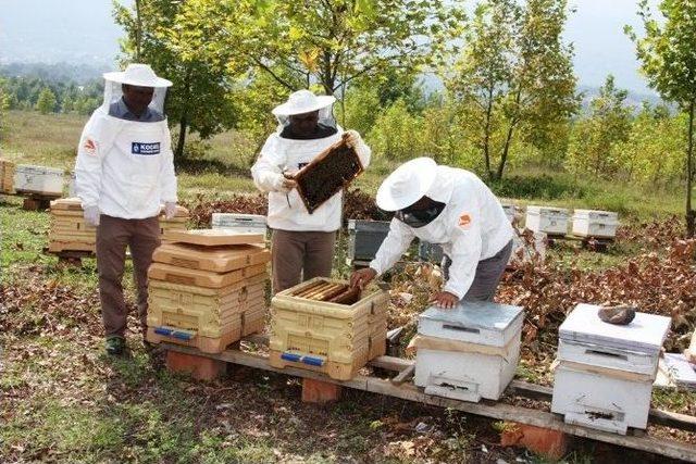 Başkan Karaosmanoğlu, Arıcılar Birliği&rsquo;ni Misafir Etti 1