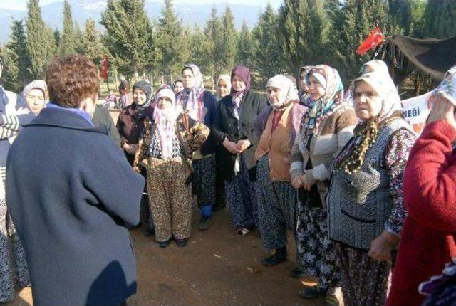 Köylülerin Direndiği Akalan'daki Taş Ocağında Yürütmeyi Durdurma Kararı