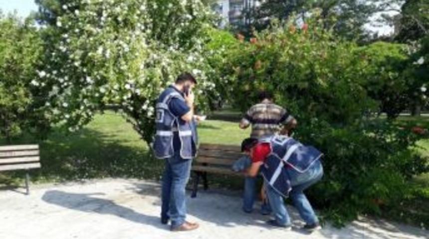 Sinop&rsquo;ta Park Uygulaması