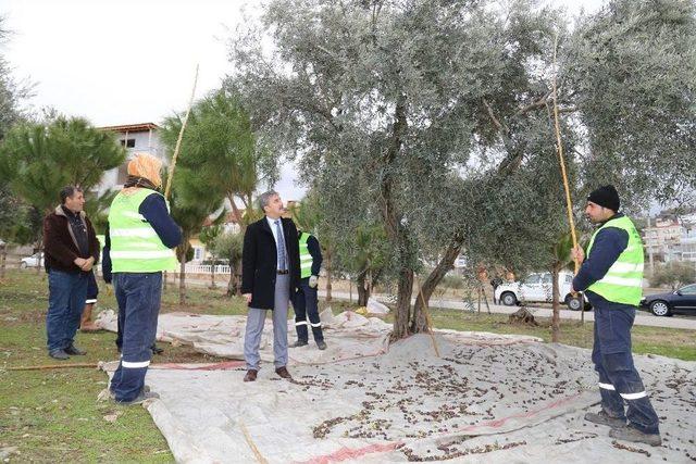 Muhtacın Sofrasına Lezzet Katan Çalışma Sürüyor