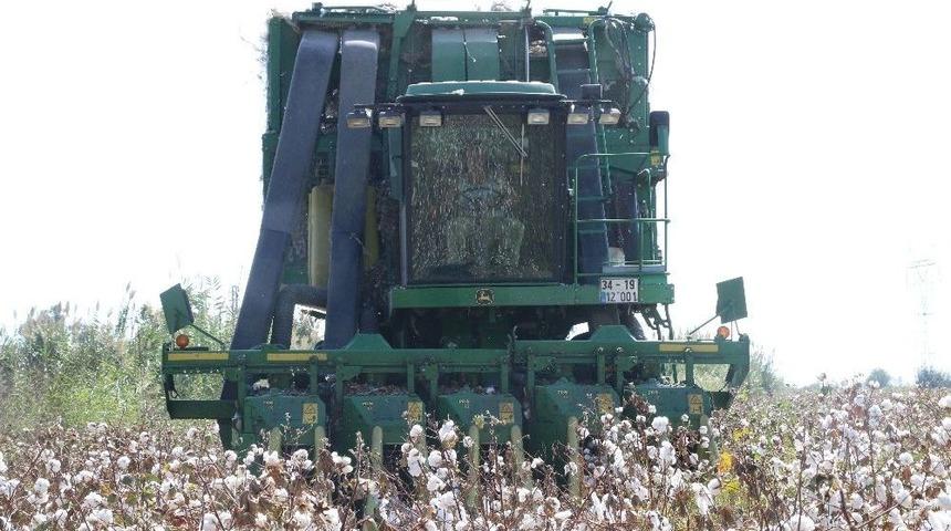 Antalya&rsquo;da Pamuk Hasadı Başladı