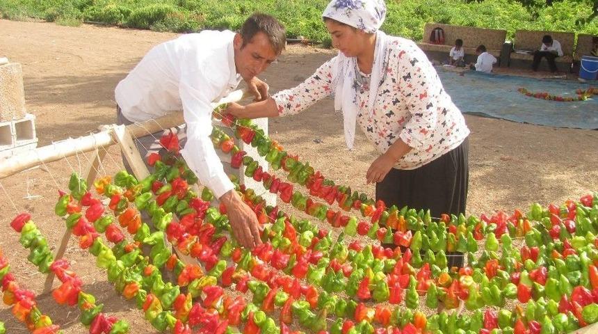 Kurutmalık Sal&ccedil;a Ve Turşuluklara Yoğun İlgi