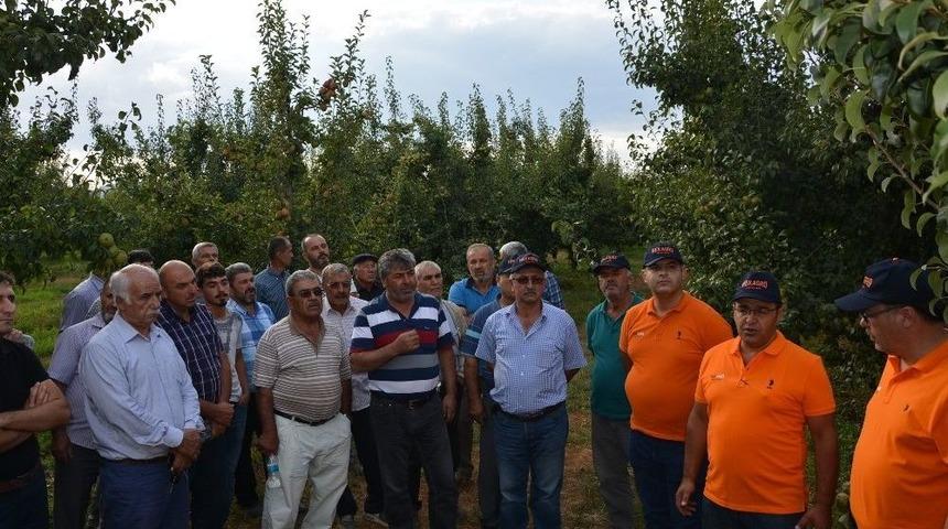 3. Armut Bah&ccedil;e G&uuml;n&uuml;