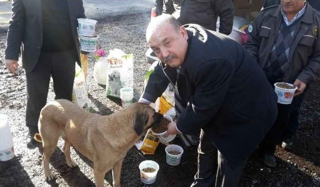 Hayvanlar İ&ccedil;in Belgrad Ormanı&rsquo;na Yem Bırakıldı