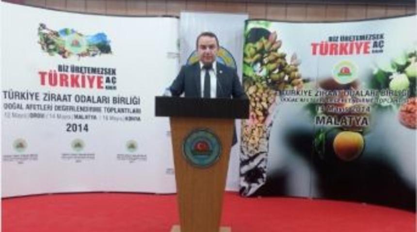 Kilis Ziraat Odasın&rsquo;dan Tarım Sigortası &Ccedil;ağrısı