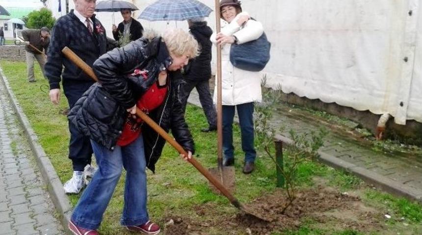 Kesilen Ağa&ccedil;lara Chp Mudanya Parti Okulu&rsquo;ndan Tepki