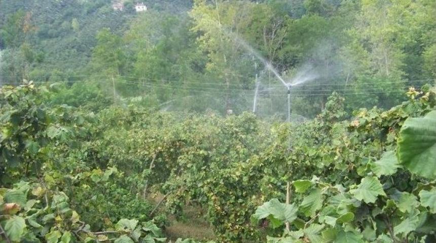 Tarım Desteği Havaalanını Ge&ccedil;ti