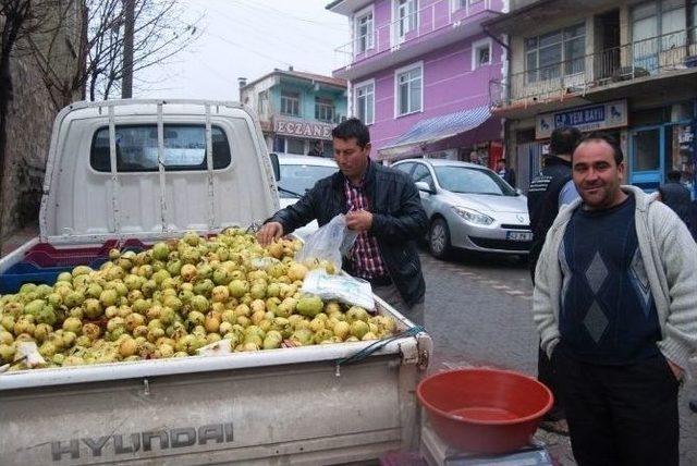 Çürük Armudun Kilosu 5 Tl