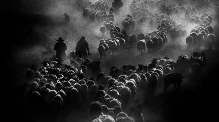 Bursafotofest&rsquo;te b&uuml;y&uuml;k &ouml;d&uuml;l van&rsquo;a gitti