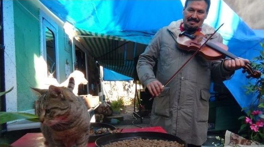 (&ouml;zel Haber) Emekli Akademisyen Sokak Hayvanlarına Babalık Yapıyor