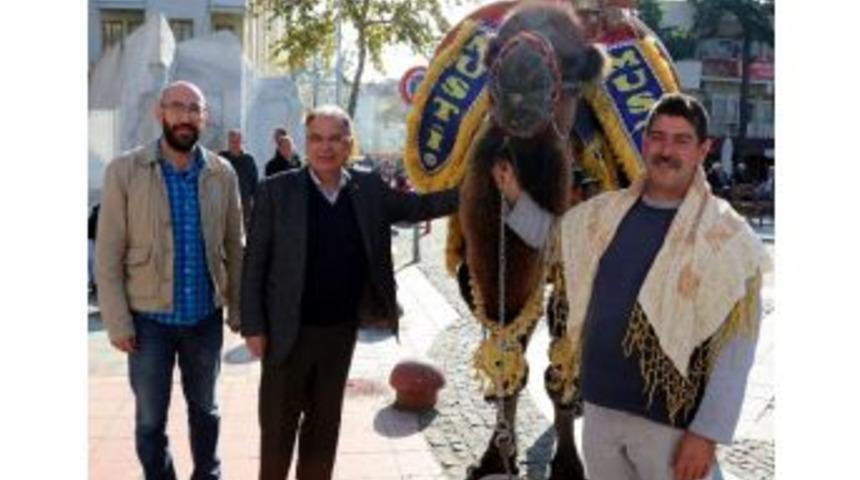 Sel&ccedil;uk&rsquo;da Deve G&uuml;reşi Heyecanı