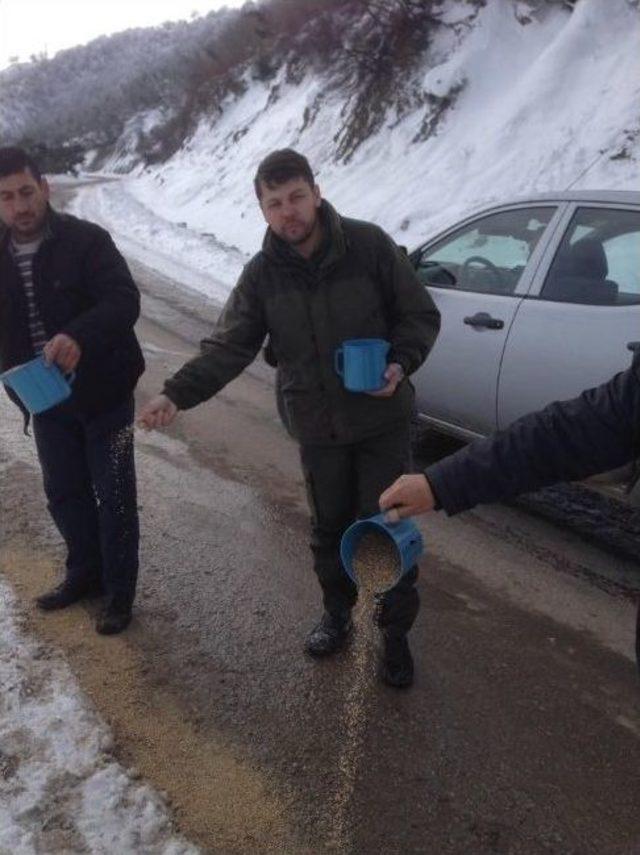 Avcılar Öldürmek İçin Değil Yaşatmak İçin Dağa Çıktı