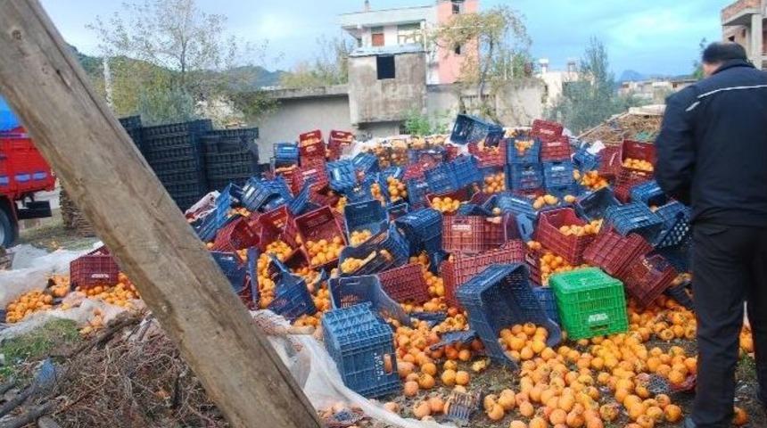 Karpit Bomba Gibi Patladı