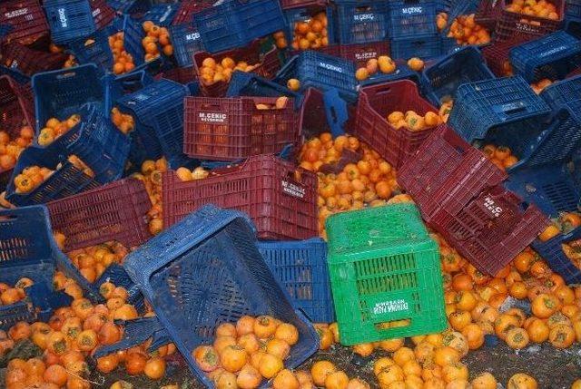 Karpit Bomba Gibi Patladı 1