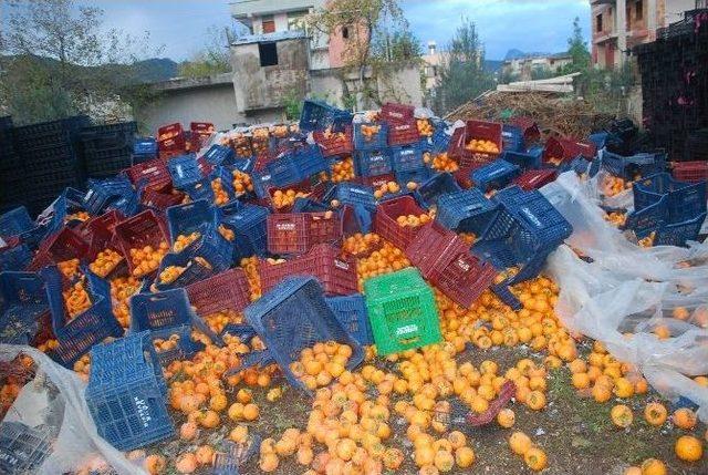 Karpit Bomba Gibi Patladı 2