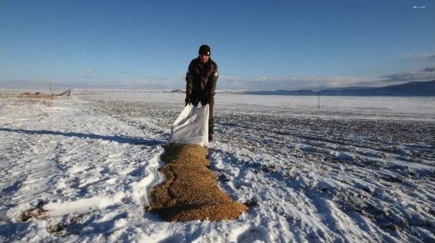 Karaman&rsquo;da Yaban Hayvanlar İ&ccedil;in Doğaya Yem Bırakıldı