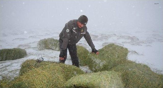 Karaman’da Yaban Hayvanlar İçin Doğaya Yem Bırakıldı