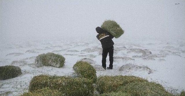 Karaman’da Yaban Hayvanlar İçin Doğaya Yem Bırakıldı