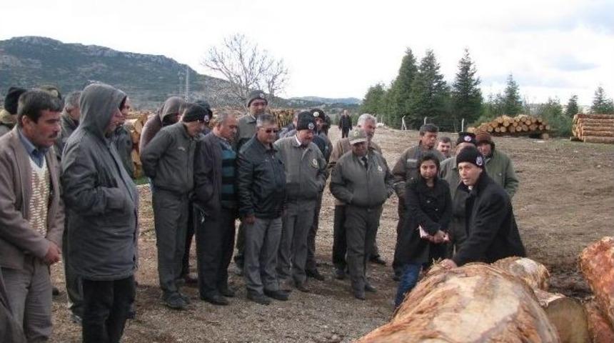 Orman Personeline Temel İş Sağlığı Ve Standarizasyon Eğitimi