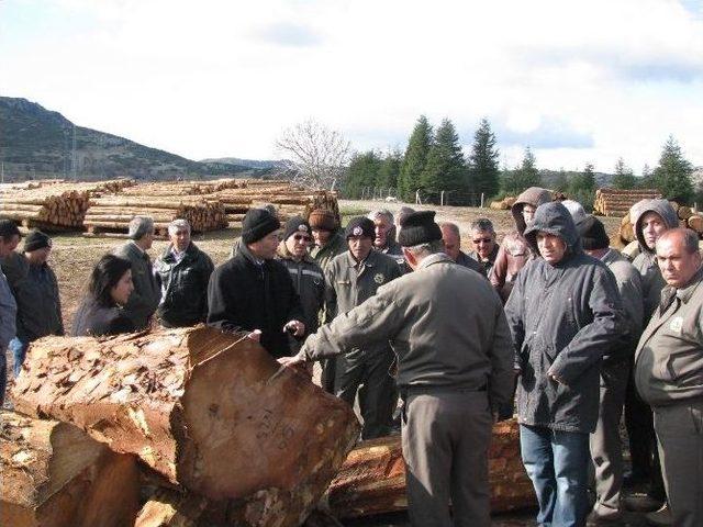 Orman Personeline Temel İş Sağlığı Ve Standarizasyon Eğitimi 1