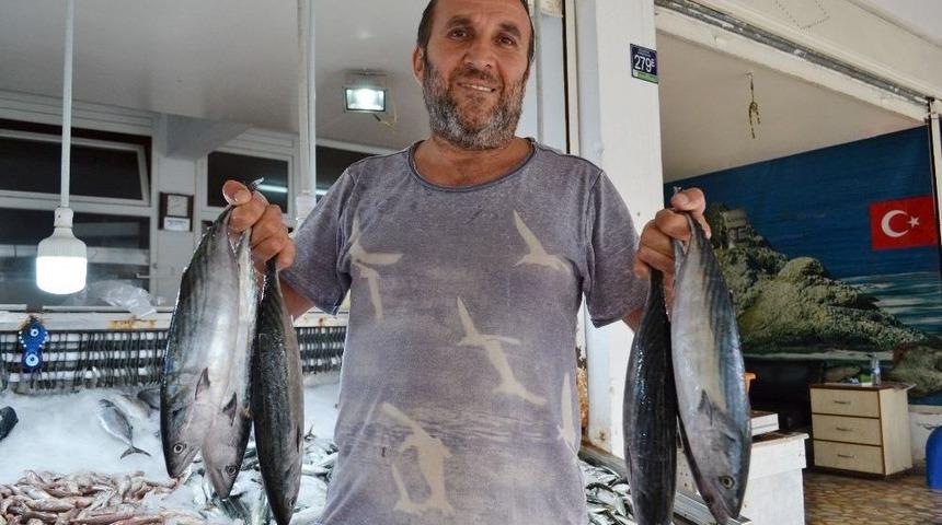 Karadeniz&rsquo;de Balık Yok