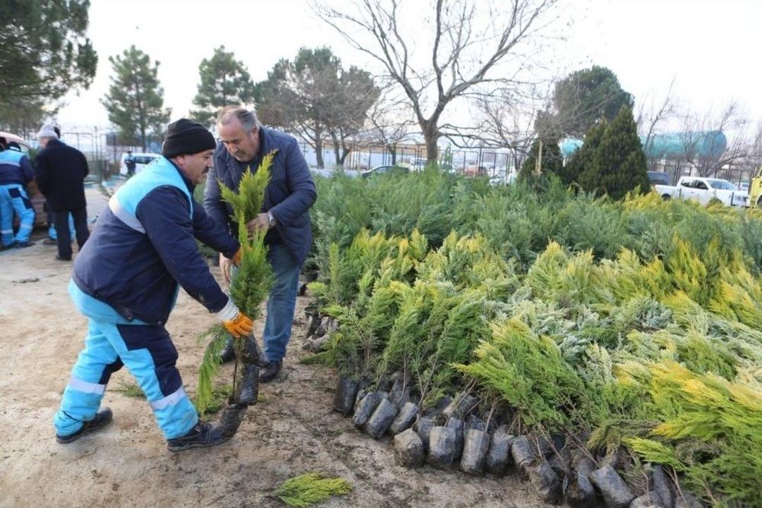 &Uuml;cretsiz Fidana Vatandaştan B&uuml;y&uuml;k İlgi