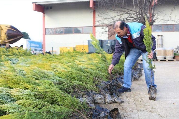 Ücretsiz Fidana Vatandaştan Büyük İlgi G1