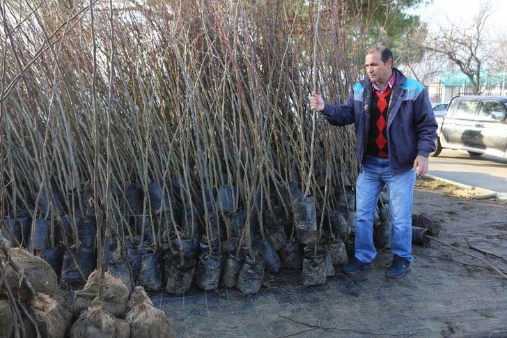 Ücretsiz Fidana Vatandaştan Büyük İlgi G3